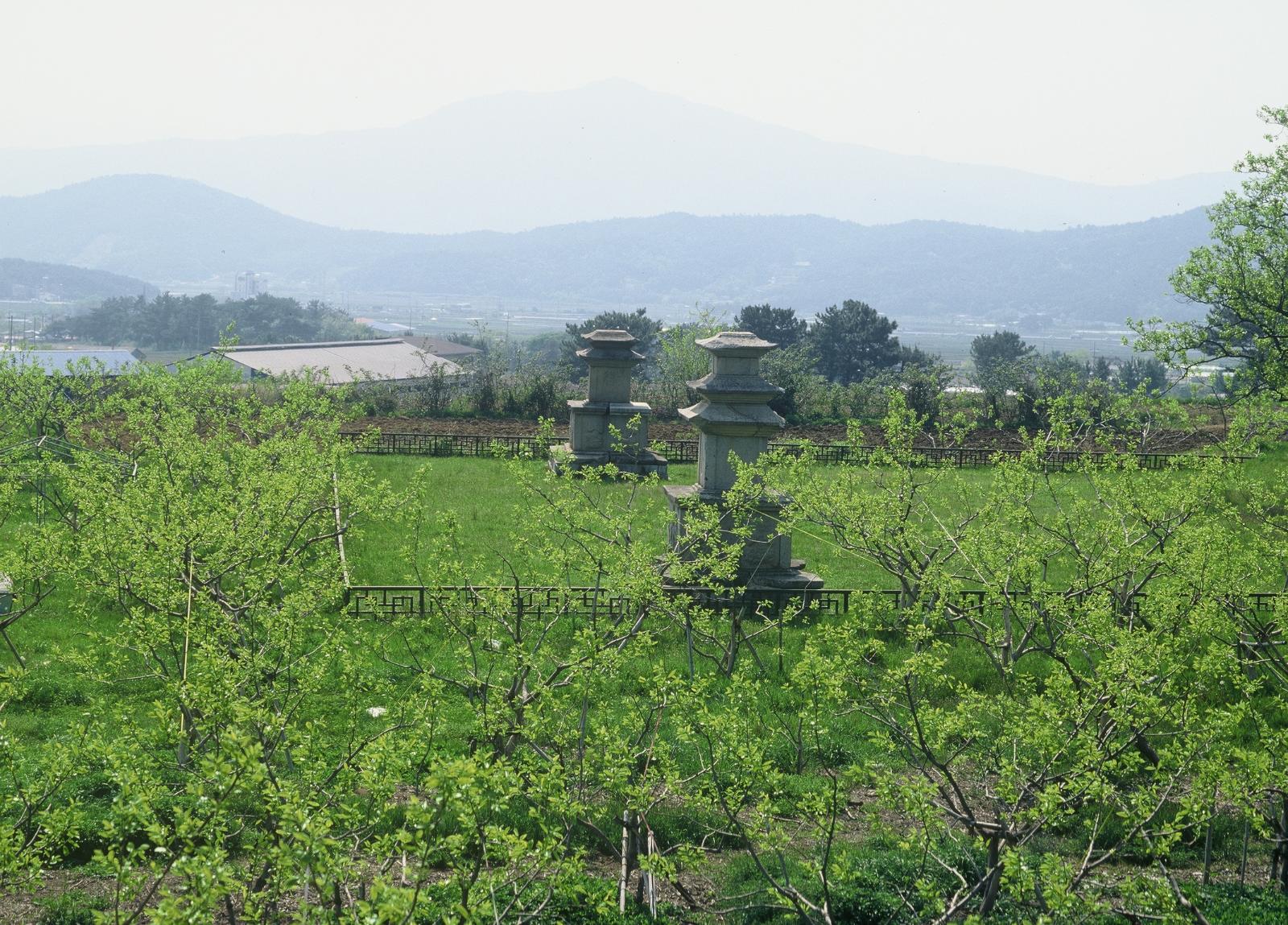 숭복사지삼층석탑5