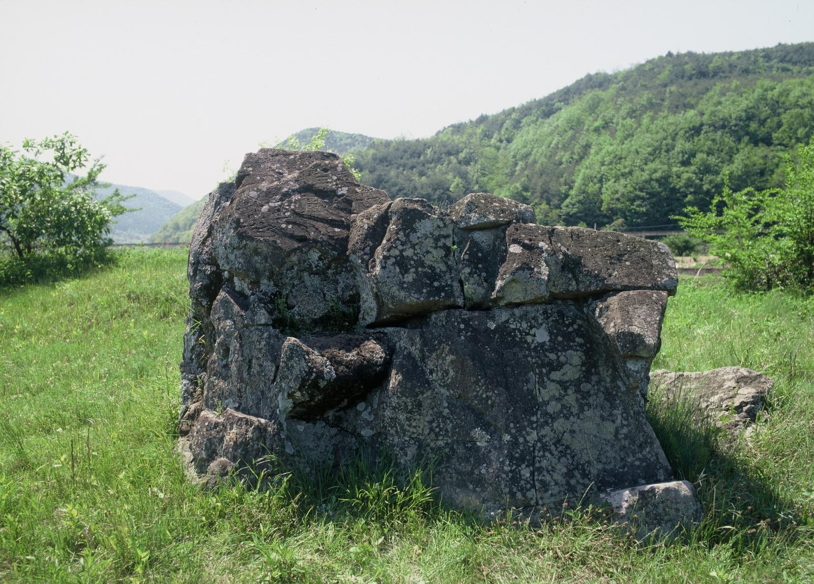 안심리암각화3