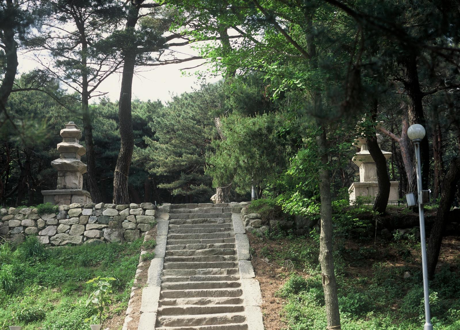 원원사지9