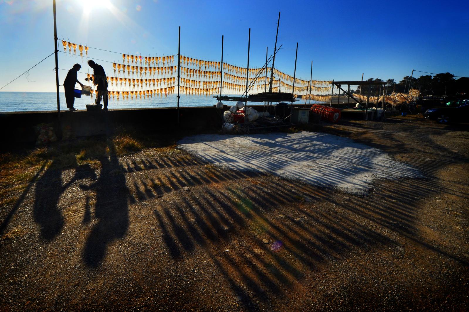 작업_김택수(금상)