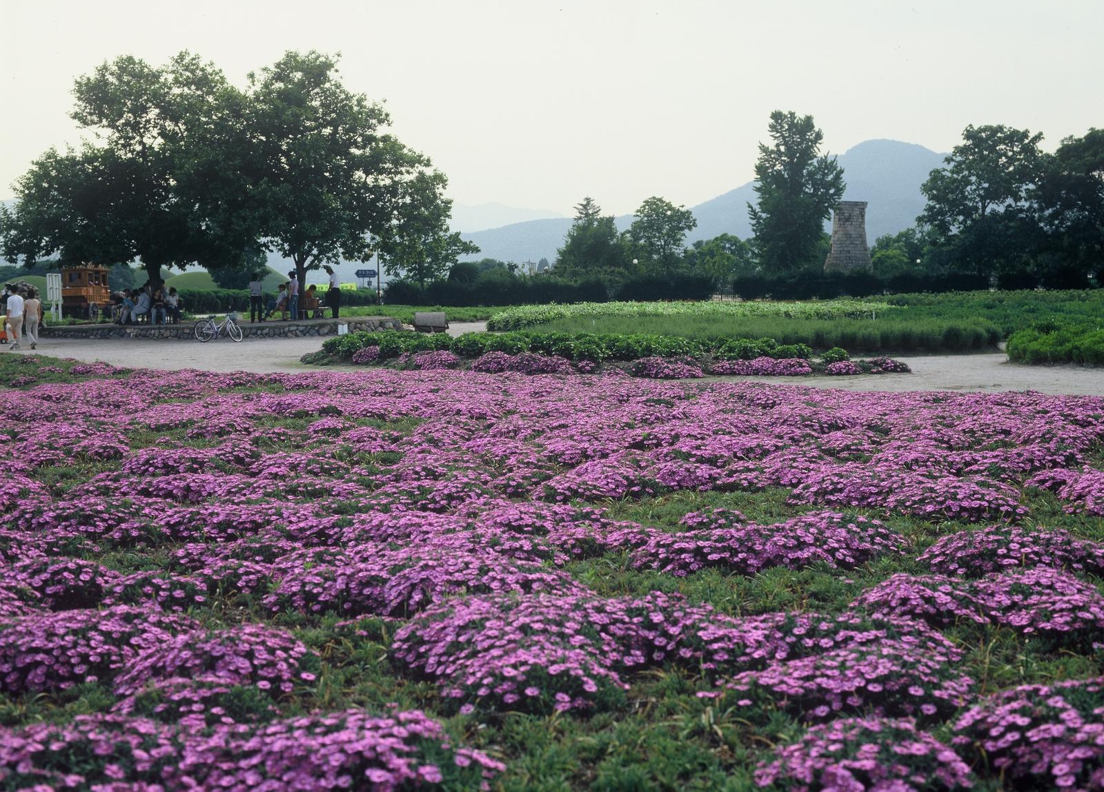 첨성대5
