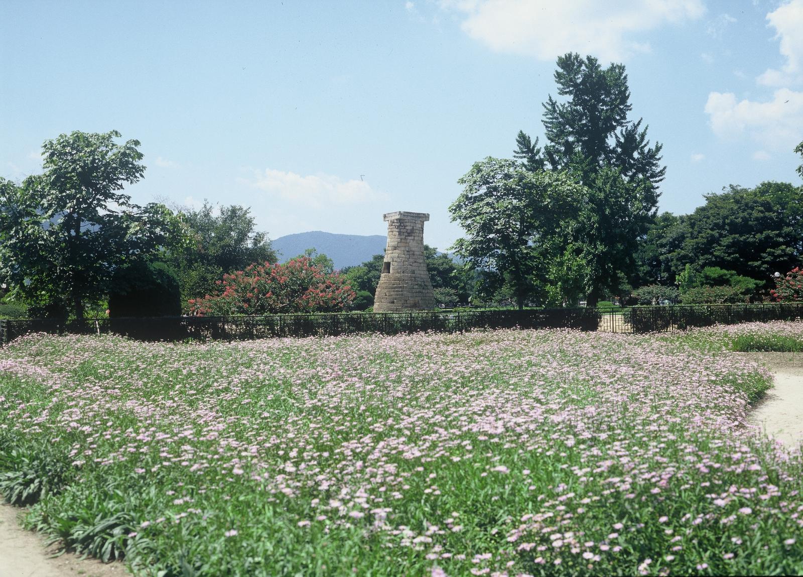 첨성대8