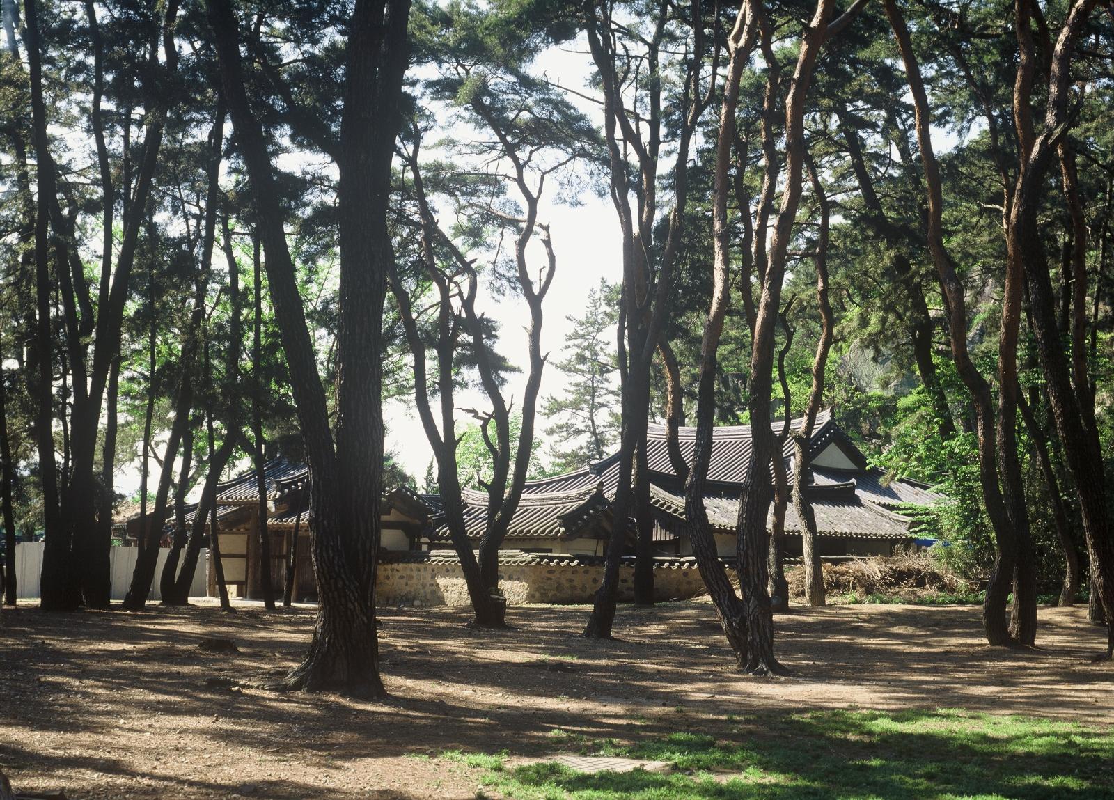 경주표암3