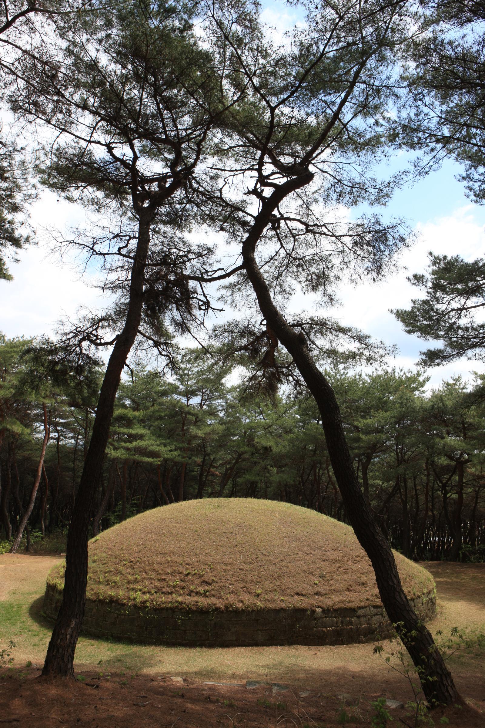 헌강왕릉1
