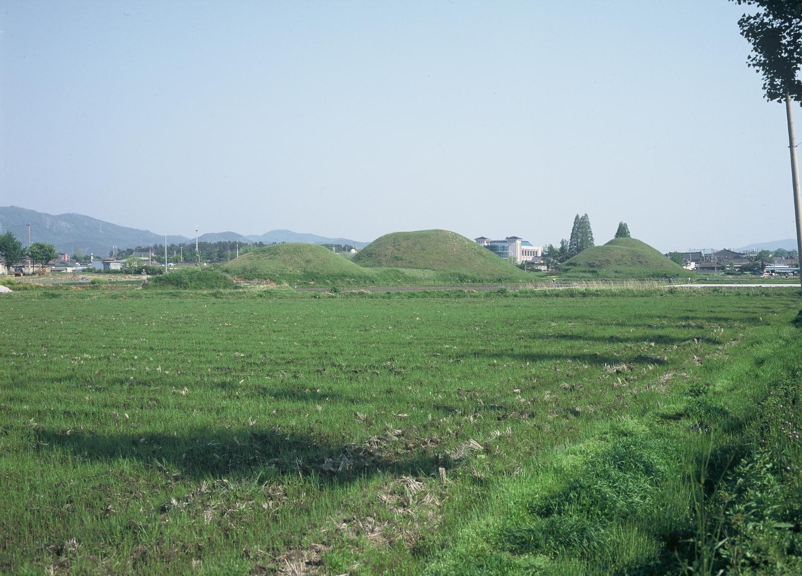 황남리고분군5