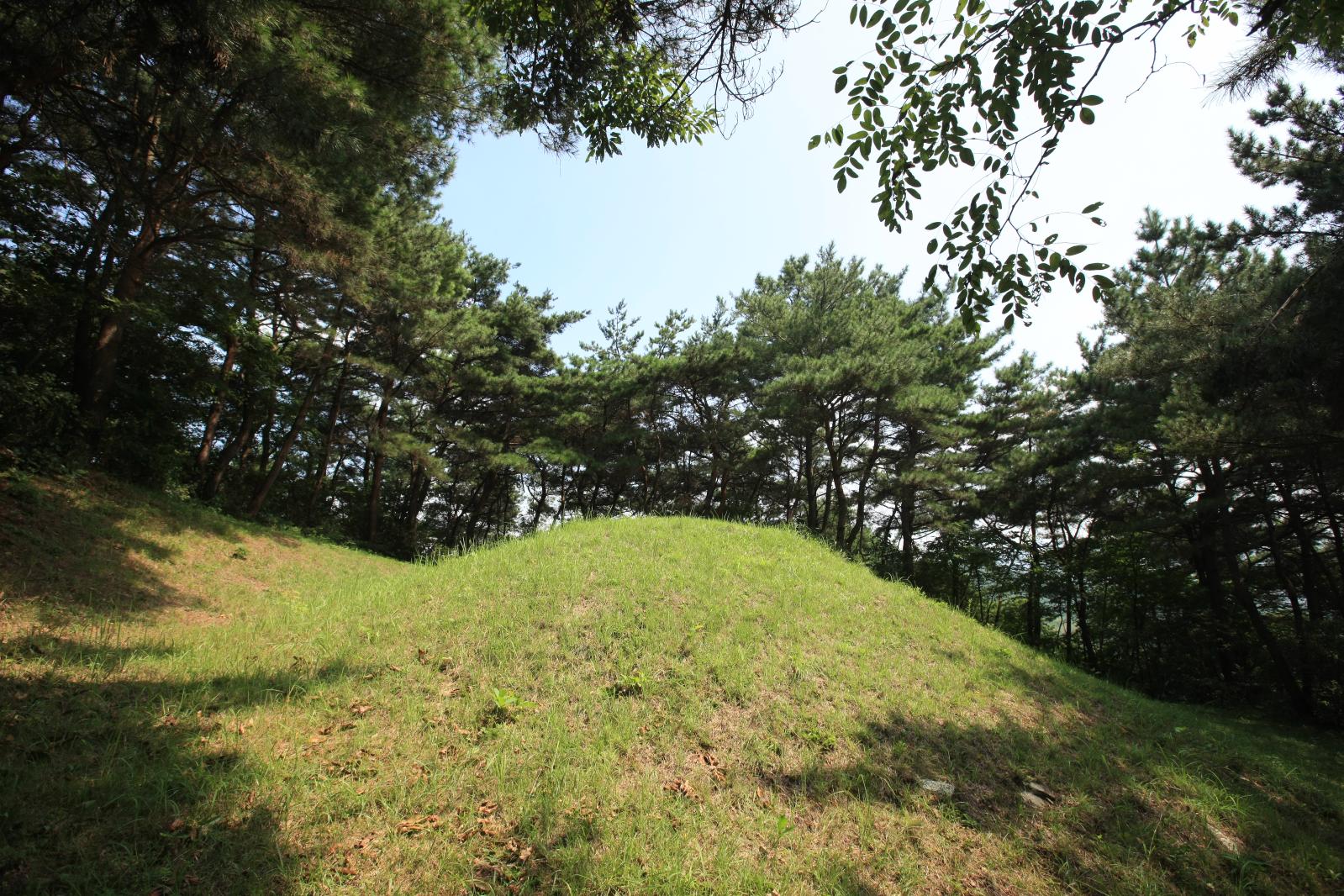 희강왕릉1