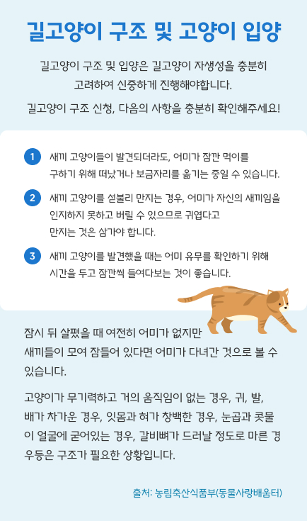 길고양이 구조 및 고양이 입양
길고양이 구조 및 입양은 길고양이 자생성을 충분히
고려하여 신중하게 진행해야합니다.
길고양이 구조 신청, 다음의 사항을 충분히 확인해주세요!
1
새끼 고양이들이 발견되더라도, 어미가 잠깐 먹이를
구하기 위해 떠났거나 보금자리를 옮기는 중일 수 있습니다.
2
새끼 고양이를 섣불리 만지는 경우, 어미가 자신의 새끼임을 인지하지 못하고 버릴 수 있으므로 귀엽다고
만지는 것은 삼가야 합니다.
3
새끼 고양이를 발견했을 때는 어미 유무를 확인하기 위해
시간을 두고 잠깐씩 들여다보는 것이 좋습니다.
잠시 뒤 살폈을 때 여전히 어미가 없지만
새끼들이 모여 잠들어 있다면 어미가 다녀간 것으로 볼 수 있습니다.
고양이가 무기력하고 거의 움직임이 없는 경우, 귀, 발,
배가 차가운 경우, 잇몸과 혀가 창백한 경우, 눈곱과 콧물이 얼굴에 굳어있는 경우, 갈비뼈가 드러날 정도로 마른 경우등은 구조가 필요한 상황입니다.
출처: 농림축산식품부(동물사랑배움터)