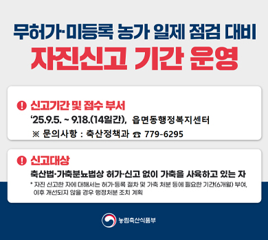 무허가·미등록 농가 일제 점검 대비 자진신고 기간 운영

! 신고기간 및 접수부서
‘25.9.5. ~ 9.18.(14일간), 읍면동행정복지센터
※ 문의사항 : 축산정책과 779-6295

! 신고대상
축산법·가축분뇨법상 허가·신고 없이 가축을 사육하고 있는 자
* 자진 신고한 자에 대해서는 허가·등록 절차 및 가축 처분 등에 필요한 기간(6개월) 부여, 이후 개선되지 않을 경우 행정처분 조치 계획